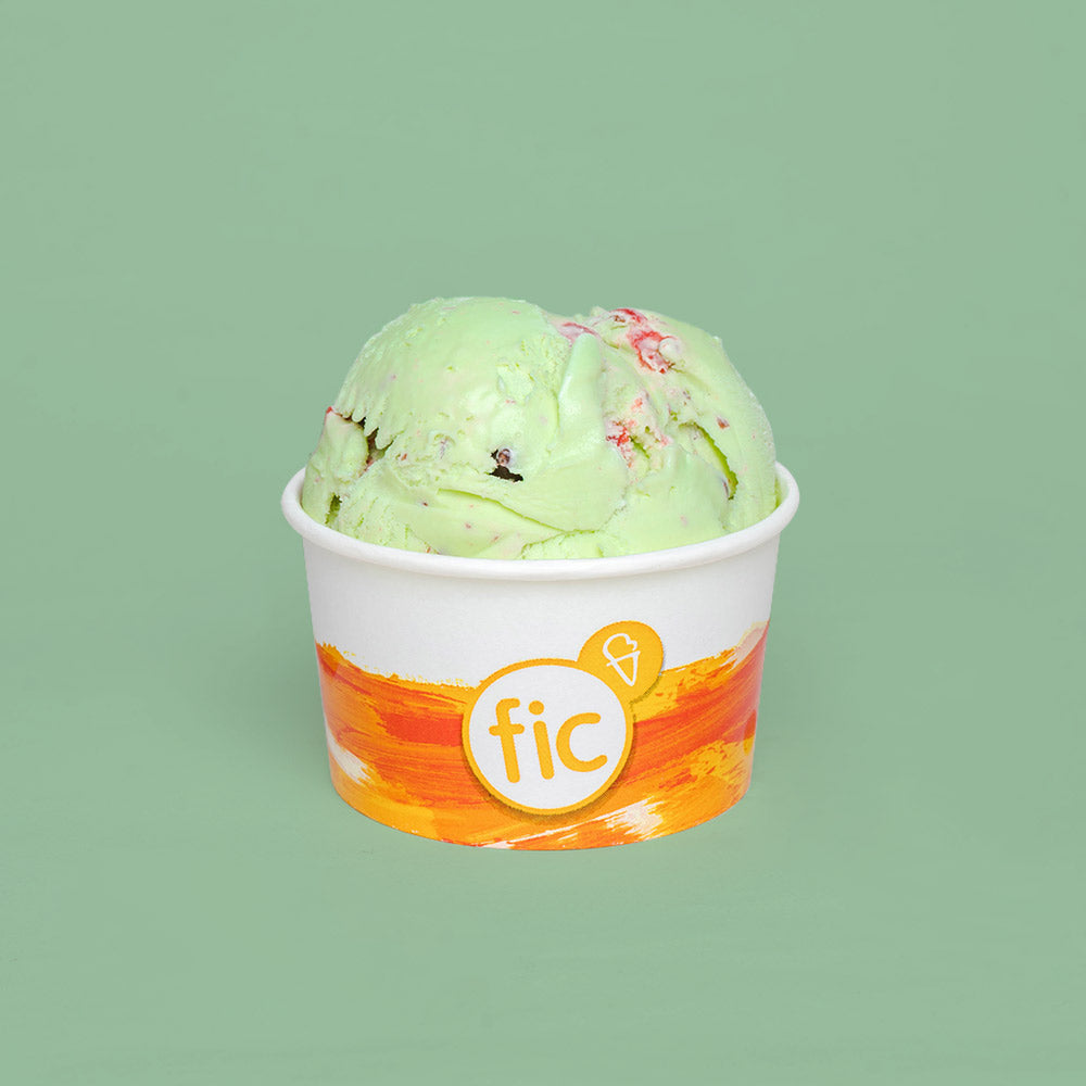 Choco Mint Ice Cream