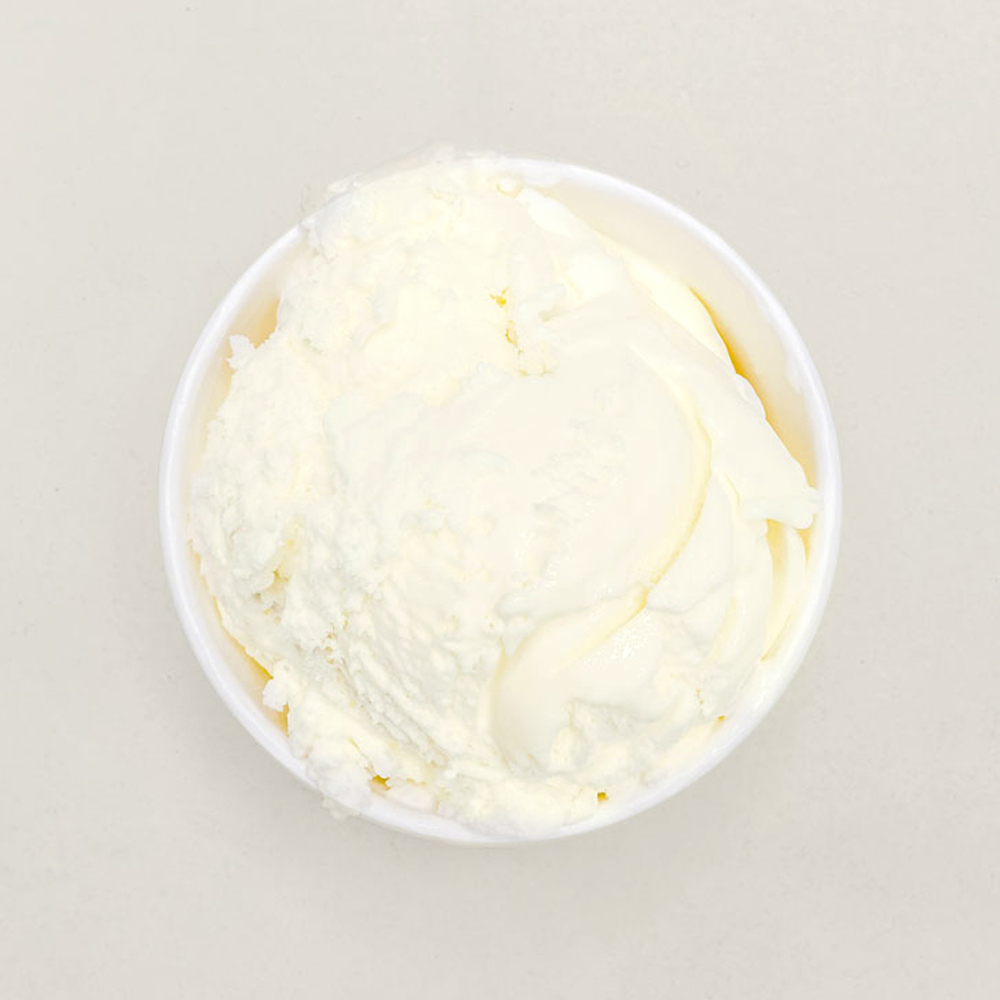 Vanilla Premium Ice Cream